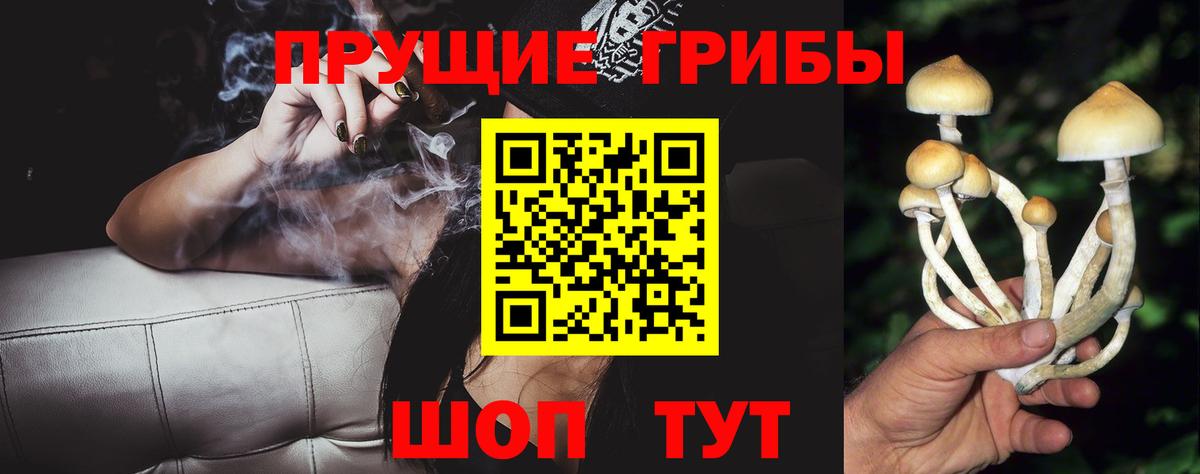 Псилоцибиновые грибы MAGIC MUSHROOMS  Вход с VPN  Псилоцибиновые грибы MAGIC MUSHROOMS  Долгопрудный 