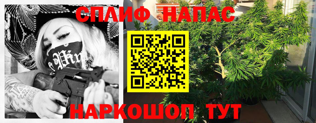 Бошки марихуана индика  МАРИХУАНА ГИДРОПОН  Шишки марихуана White Widow  Вход с VPN  Долгопрудный  Бошки марихуана семена 